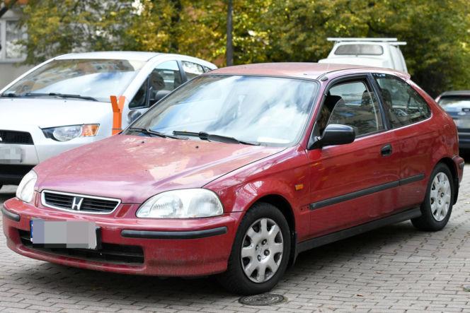 Agnieszka Fitkau-Perepeczko  na bazarku