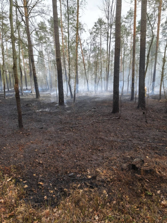 Pożar pod legionowej, czarna struga