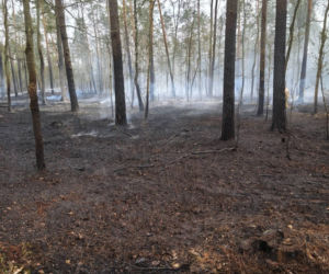 Pożar pod legionowej, czarna struga