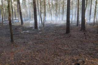 Pożar pod legionowej, czarna struga