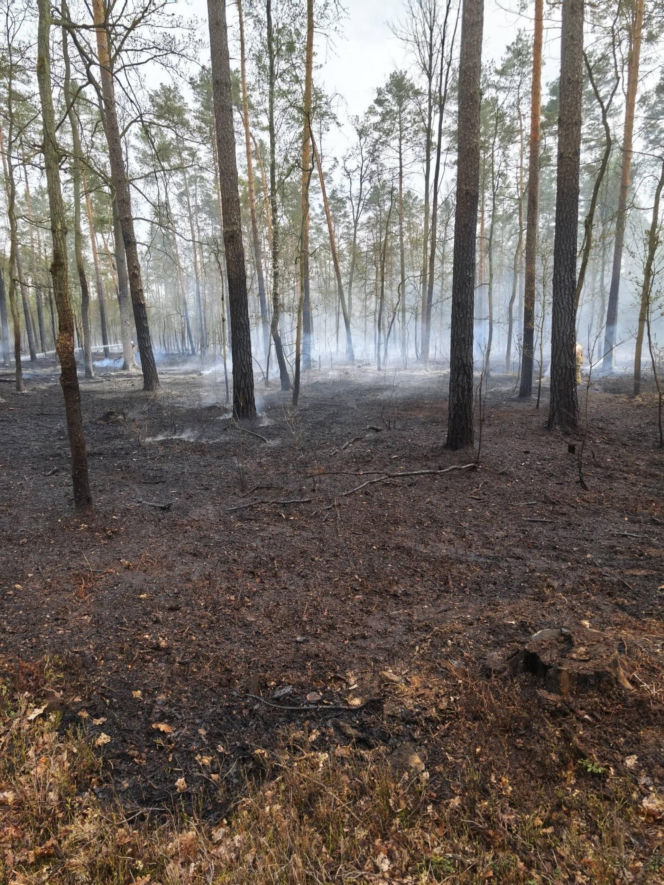 Pożar pod legionowej, czarna struga