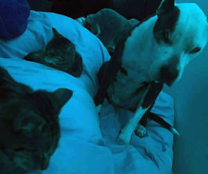 16-letnia Dira zaginęła w mrozie. Leżała w polu i nie mogła wstać