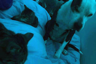 16-letnia Dira zaginęła w mrozie. Leżała w polu i nie mogła wstać