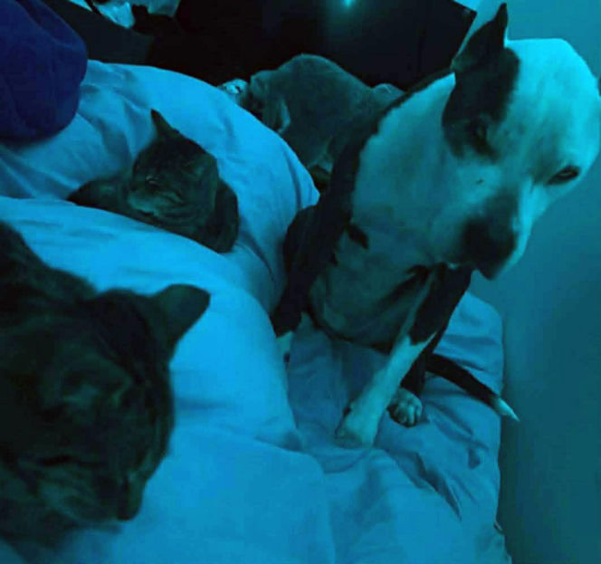 16-letnia Dira zaginęła w mrozie. Leżała w polu i nie mogła wstać