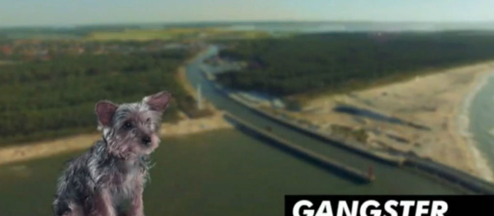 Warsaw shore 4, odc 1