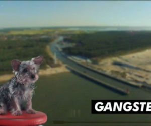 Warsaw shore 4, odc 1