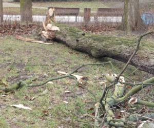 Trwa szacowanie szkód po wichurze nad Lesznem
