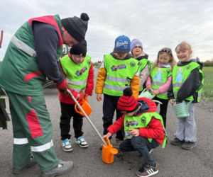 Zazieleni się Trojanowskiego w Lesznie. Przy ulicy posadzono drzewa