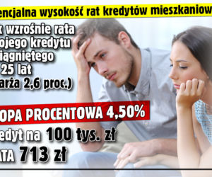 Raty kredytów
