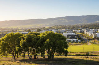 Gmina Święciechowa 2025. Jak zmieniła się populacja?