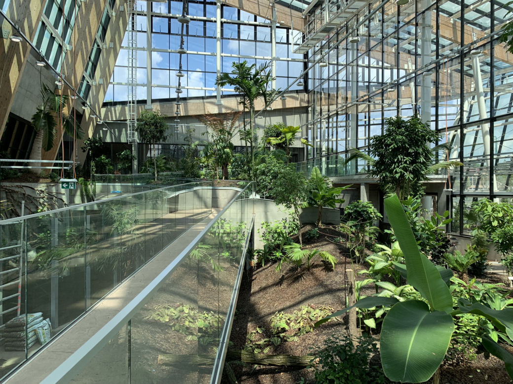 Budowa Egzotarium w Sosnowcu niemal na finiszu. Zobacz, jak wygląda "wizytówka" Sosnowca od środka