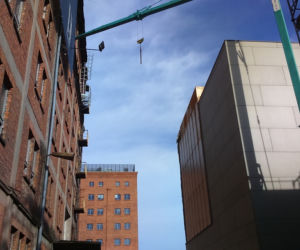Minikopernik minął półmetek i z dnia na dzień zmienia swój wygląd