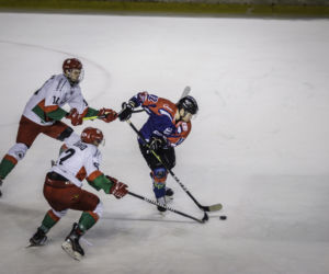 Zagłębie Sosnowiec - KH Energa Toruń 3:5, zdjęcia z meczu