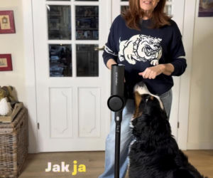 Dowbor walczy o Stefana