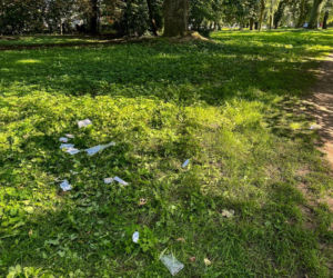 17-latek zaatakował kolegów nożem. Zapadł wyrok w głośnej sprawie