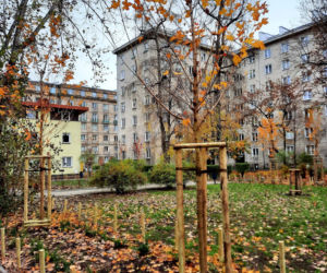 Tak zmienia się Praga-Północ