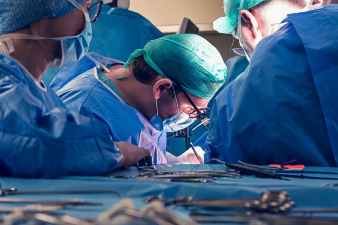 Lekarze WUM usunęli guza z wątroby poza ciałem. Pierwsza taka operacja w Polsce