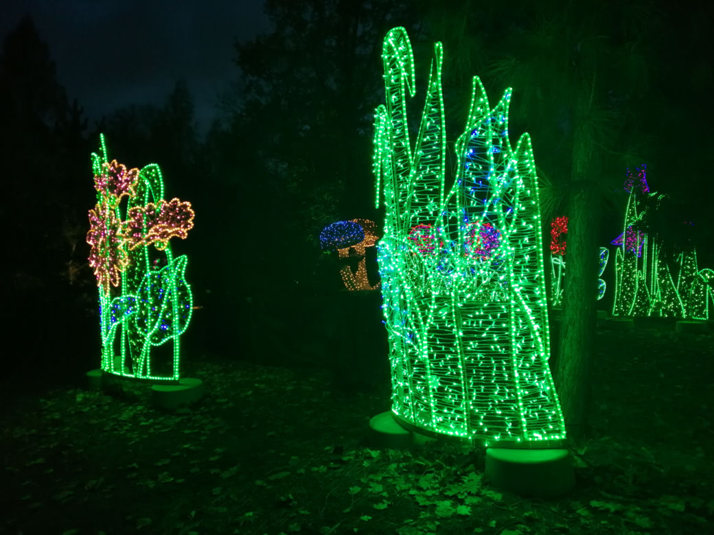 Park Iluminacji w Poznaniu