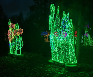 Park Iluminacji w Poznaniu