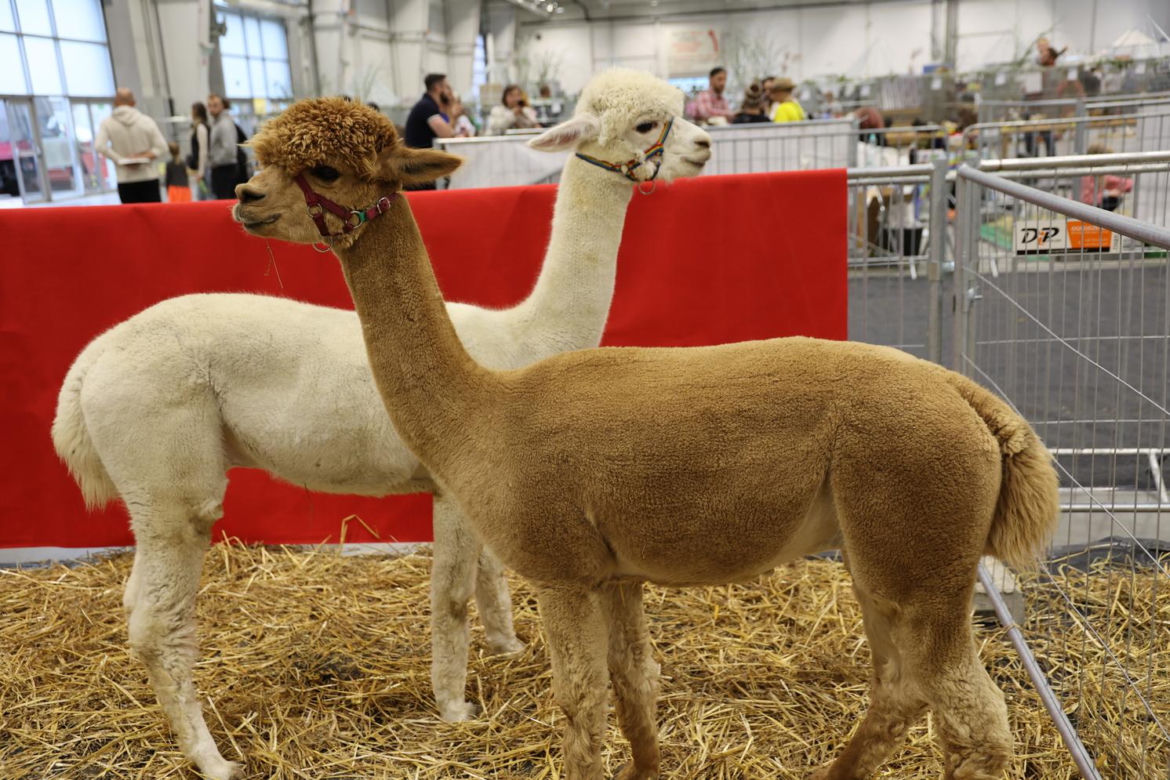 Zoopark 2023 w Lublinie