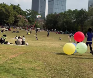 Cichopek i Kurzajewski na urlopie daleko od Polski. Nie poprowadzą Sylwestra w Toruniu