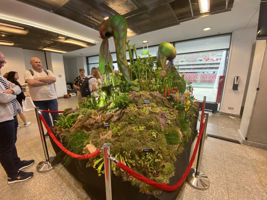 "Potworne Cuda", Światowa Wystawa Orchidei, Bonsai i Sukulentów oraz targi roślin na PGE Narodowym