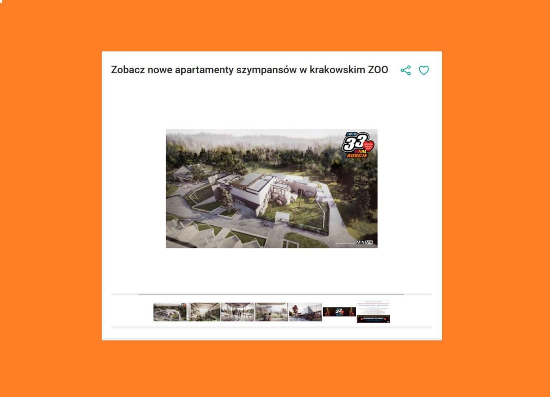 Zobacz nowe apartamenty szympansów w krakowskim ZOO