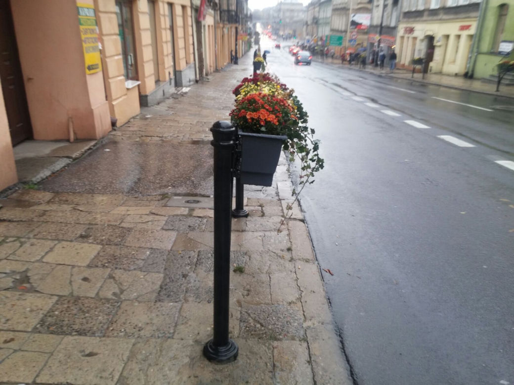 Lublin zakwitnie! Będzie zielono i kolorowo!