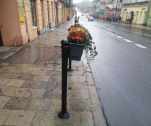 Lublin zakwitnie! Będzie zielono i kolorowo!