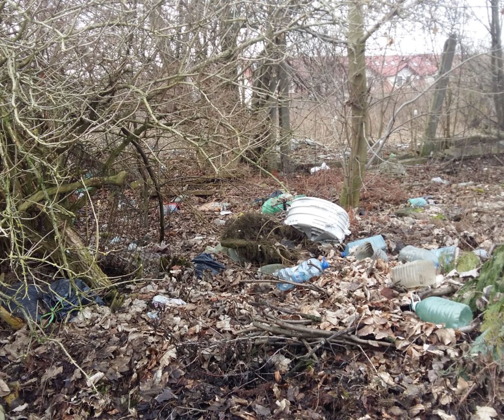 śmieci na gorzowskich Sadach