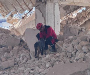 Ratownictwo bez granic. Polscy strażacy budują jednostkę K9 w Syrii