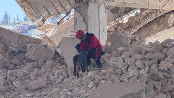 Ratownictwo bez granic. Polscy strażacy budują jednostkę K9 w Syrii