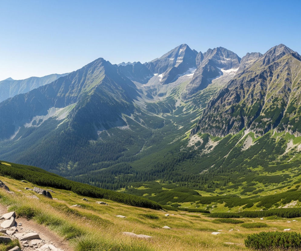Górski krajobraz z wyraźnym, błękitnym niebem rozciąga się nad pasmem skalistych szczytów, z których niektóre posiadają białe płaty śniegu. Na pierwszym planie, po lewej stronie, widoczna jest kamienista ścieżka wijąca się przez zbocze porośnięte suchą, żółto-zieloną trawą i ciemnozielonymi krzewami kosodrzewiny. Dolina poniżej, w centrum kadru, jest gęsto zalesiona iglastymi drzewami, a jej zbocza wznoszą się ku dalszym, skalistym wierzchołkom.