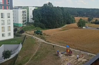 Rolnik z Lublina uprawia pole w środku osiedla. Mieszkańcy są zachwyceni! [FILM]
