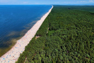 Stegna