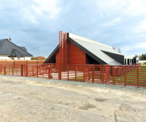 Nietypowy bliźniak z Oleśnicy