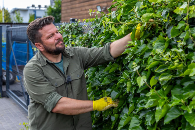 Murator Ogroduje, realizacje