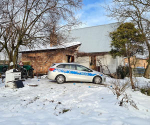 POĆWIARTOWANE kawałki CIAŁA Jadwigi znaleźli m.in w ulu. Co wydarzyło się w Zdziechowicach Drugich? [REKONSTRUKCJA ZDARZEŃ]