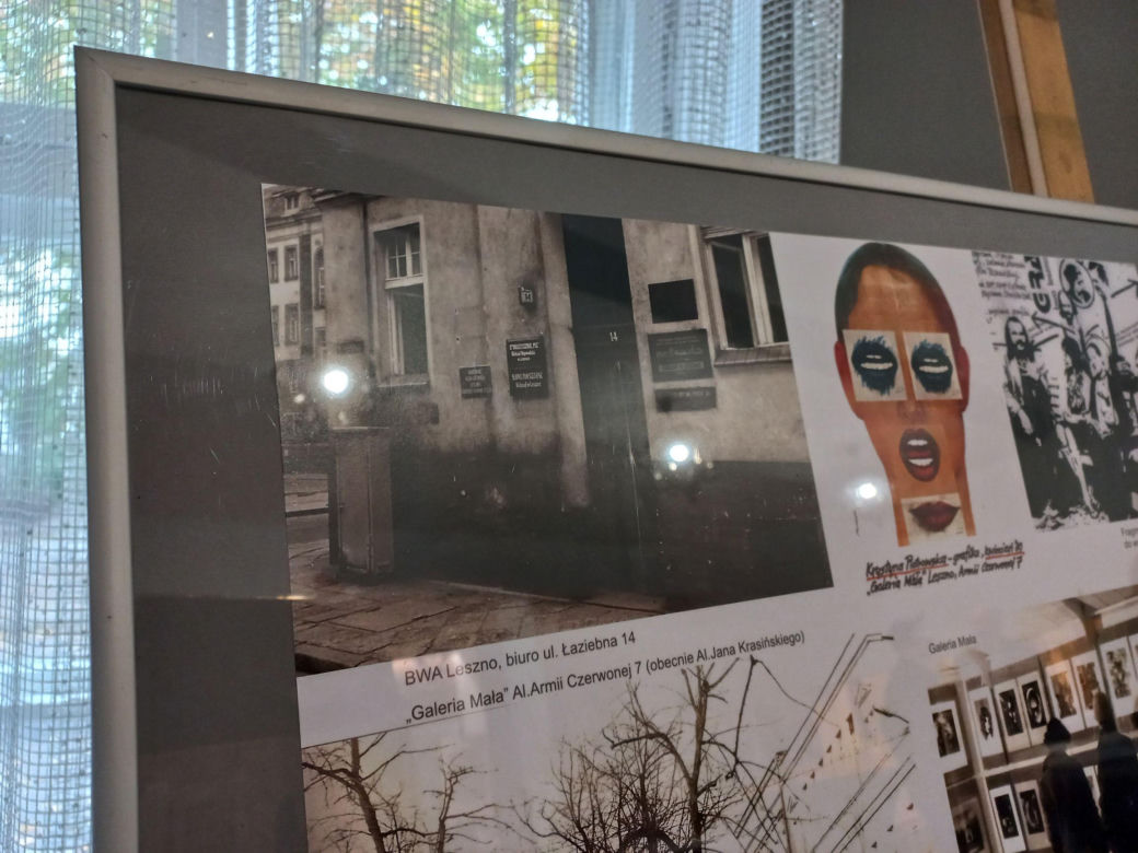 Tego chcą, by im życzyć na kolejne lata. MBWA świętuje 50-lecie
