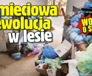 Śmieciowa rewolucja w lesie