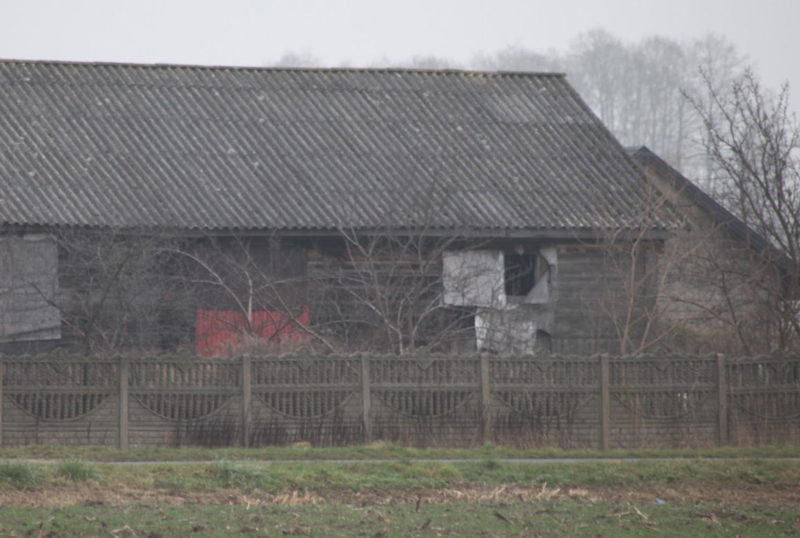 Zatłukł lekarkę, bo chciała od niego odejść? Wstrząsające ustalenia
