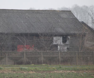 Zatłukł lekarkę, bo chciała od niego odejść? Wstrząsające ustalenia