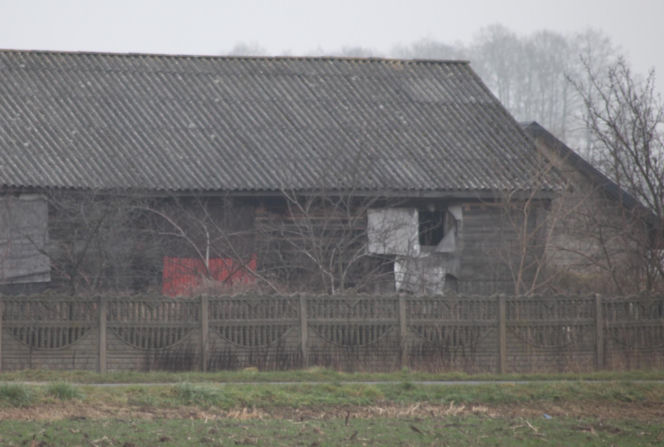 Zatłukł lekarkę, bo chciała od niego odejść? Wstrząsające ustalenia
