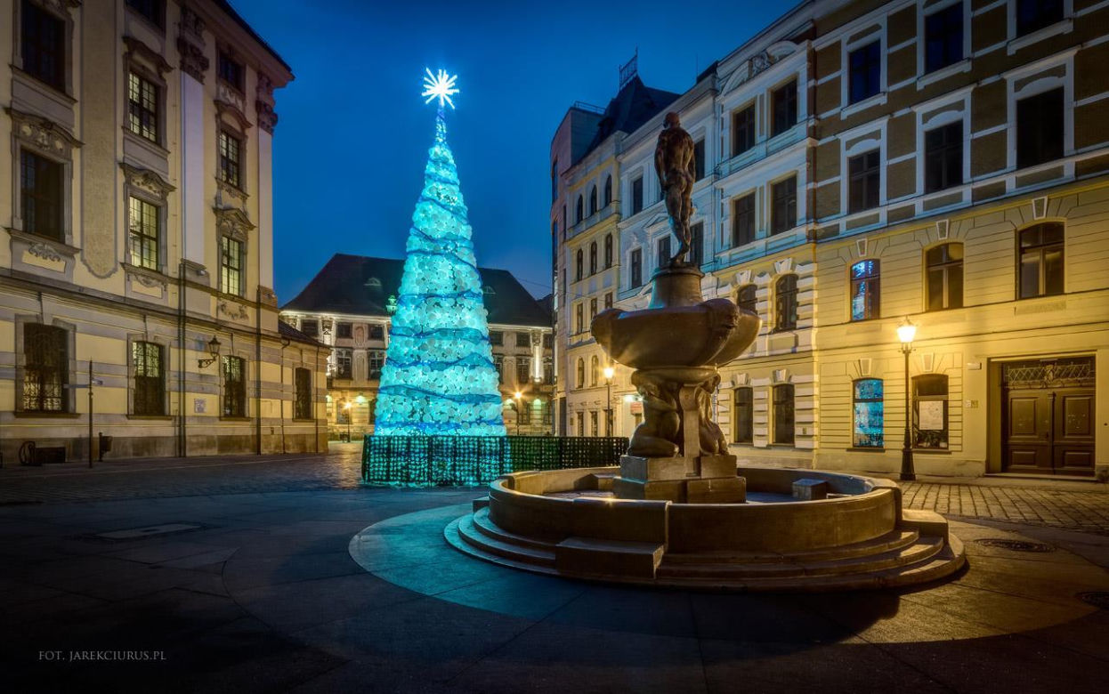 Światełka i choinki we Wrocławiu