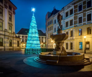Światełka i choinki we Wrocławiu