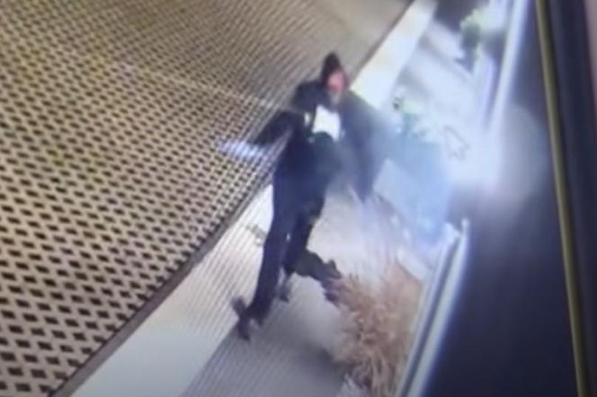 Wandal w Sierakowie narobił dużo szkody. Właściciel oferuje wysoką nagrodę