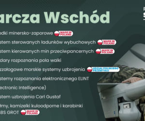 Lista programów SAFE