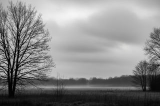 Ponury wtorek w Koninie? Zimno i pochmurno, ale uwaga na zaskakujący wieczór 02.12.2025!
