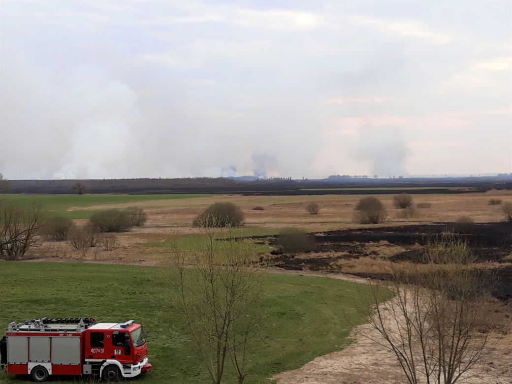 Biebrzański Park Narodowy. Ogromny pożar największego parku narodowego w Polsce