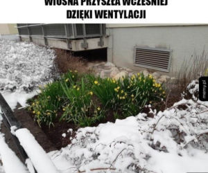 Pierwszy dzień wiosny 2022 w MEMACH